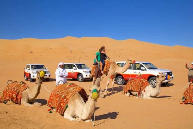 Private 4Hours Red Dunes Safari Camel Ride Falcon & Dune Thrills