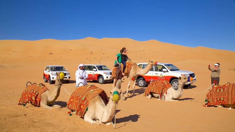 Desert Safari Tours