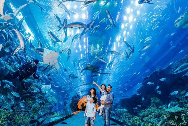 Dubai Aquarium & Underwater Zoo