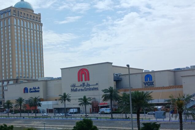 Mall of the Emirates with Ski Dubai Visit