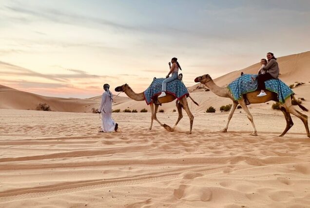 Morning Desert Safari – Adventure on the Dunes